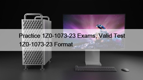 Practice 1Z0-1073-23 Exams, Valid Test 1Z0-1073-23 Format